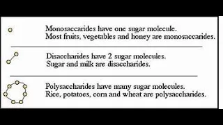 Disaccharides and Polysaccharides