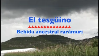 El tesgüino, bebida ancestral rarámuri.