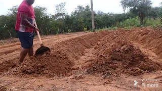 fazendo o canteiro e plantando,cheiro verde e cebolas...