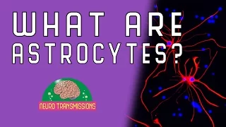 What Are Astrocytes?