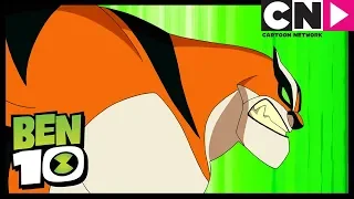 Ben 10 | Rath Transformation - NEW ALIEN | Rath of Con | Cartoon Network