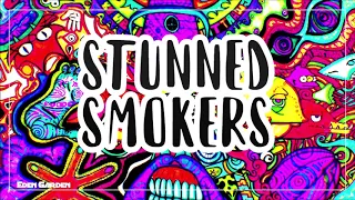 Stunned Vibes | Weed Smoke Chill Music