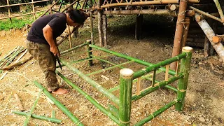 How to Make Bamboo Beds & Fish Traps: Survival Alone In The Rainforest | EP.76