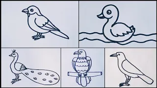 How to draw different types of birds drawing // Birds drawing easy step by step