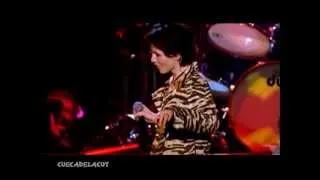 The Cranberries - Animal Instinct (live Beneath the Skin 1999)