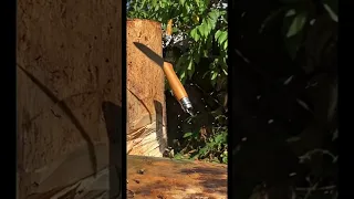 Opinel No. 08 vs .22 airgun! (Knife destruction test) #shorts