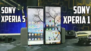 JANGAN SALAH BELI!! Full Comparison Sony Xperia 5 vs Sony Xperia 1 di Tahun 2022