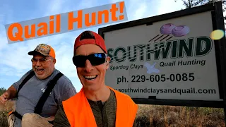 South Georgia Quail Hunt at Southwind (Quitman, GA)