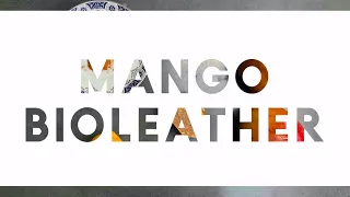 Mango BioLeather Recipe