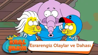 Esrarengiz Olaylar ve Dahası - Kral Şakir