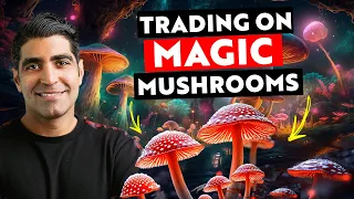 Day Trading on Magic Mushroom