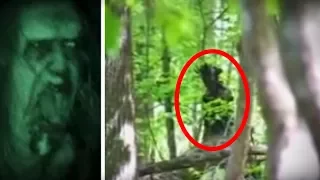 5 Scary Forest Creatures Caught on Camera