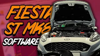 Ford Fiesta ST MK8 Software I Vlog #37