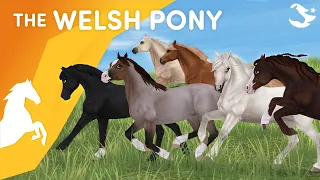 Meet the Gen 3 Welsh Pony! 😍💜 | Star Stable Horses