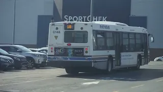 Metrobus Transit St.John's; Bus Action June 2023