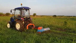 Foton Lovol 504   iii Compact Tractor Mowing With Sideshift Flailmower