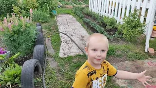 СОБРАЛИ ПЕРВЫЙ УРОЖАЙ🥒С 👶В ОГОРОДЕ С УТРА/УБОРКА В ДЕТСКОЙ КОМНАТЕ...