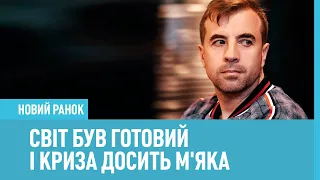 Світ був готовий і криза досить м'яка