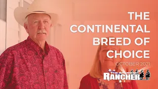 The Continental Breed of Choice | The American Rancher