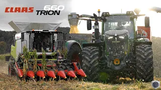 CLAAS TRION 660 TT and FENDT tractors | Corn Harvest 2023 | Drone & Sound [4K UHD]