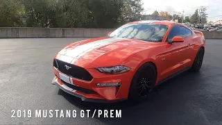 2019 mustang GT and GT premium full blown review. #2019 #mustang #v8