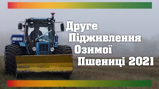 Друге Підживлення Озимої Пшениці 2021 | Чим Підживити Озиму Пшеницю?