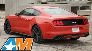Bama Tuned 2015 Mustang GT Dyno Results w/JLT Cold Air Intake