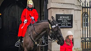 ARNIE pounces! Nips kid and shows her why The King's Horses are to be respected!