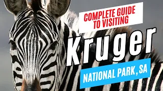 KRUGER NATIONAL PARK Travel Guide, South Africa | Tour Guide Interview | Plan Your Visit