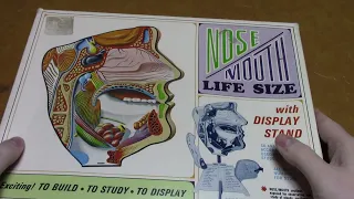 Vintage Pyro Nose and Mouth in box preview