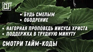 Вы укрепитесь, и пусть не ослабевают руки ваши | Будь твёрд и мужествен, не бойся и не унывай