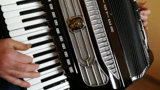 Weltmeister Supita 120 Bass LMMH Accordion Cassotto Fisarmonica Akkordeon + Case Like New (1)