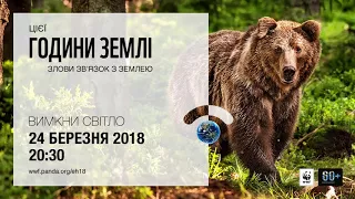 Почуй природу у Годину Землі - Ведмідь бурий