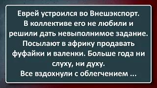 Невыполнимое Задание! Сборник Изумрудных Анекдотов №100