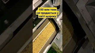 Площа вирощування сої в Україні складає 1.28 млн га
