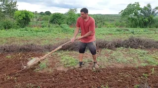 como arar a terra manualmente, não compre arado faça o seu .#aprenda #roça #chuva.