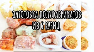 ЗАГОТОВКИ ЕДЫ НА МЕСЯЦ / ДОМАШНИЕ ПОЛУФАБРИКАТЫ