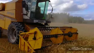 Harvesting barley. Puintia.