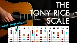 Master the Tony Rice Scale in 4 Steps // Bluegrass Guitar Lesson