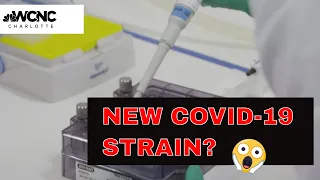 New COVID-19 variant found in the United States