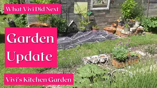 Vivi's Kitchen Garden: Garden update.