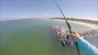 Snook Fishing Fort Desoto Pier Part 1