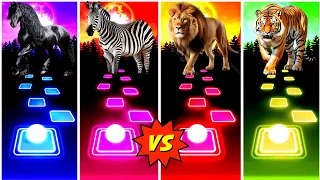 Funny Horses 🆚 Funny Zebra 🆚 Fynny Lion 🆚 Funny Tiger.So Funny.Ciffin Dance Song🎼