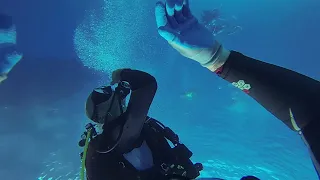 Diver panic