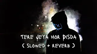 Tere Jeya Hor Disda ( Slowed and Reverb ) | Madhur Sharma | Kiven Mukhde | Nusrat Fateh Ali Khan