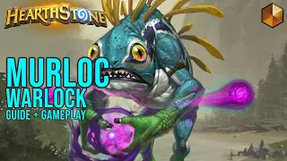 Murloc Warlock after Patch is GOOD and CHEAP | Hearthstone Deck Guide