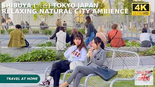 4k hdr japan travel | Walk in Shibuya (渋谷) Tokyo japan |  Relaxing Natural City ambience