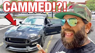 Wow! We FOUND a SECRET CAMMED TUNE for our SHELBY GT350!