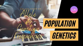 How to calculate  allele and genotype frequencies