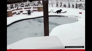 Женщина в Ледяном Бассейне. Видео с Камеры Видеонаблюдения, которое поразило соседей